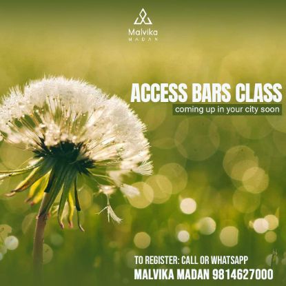 Picture of Access Bars