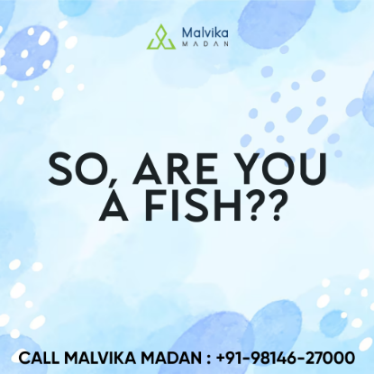 Picture of So, Are you a Fish??