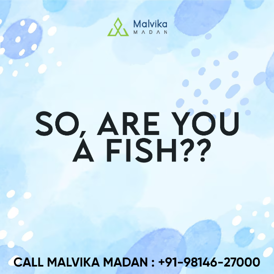 Picture of So, Are you a Fish??